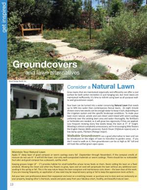 Groundcovers and Lawn Alternatives 13
