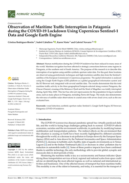 Observation of Maritime Traffic Interruption in Patagonia During The