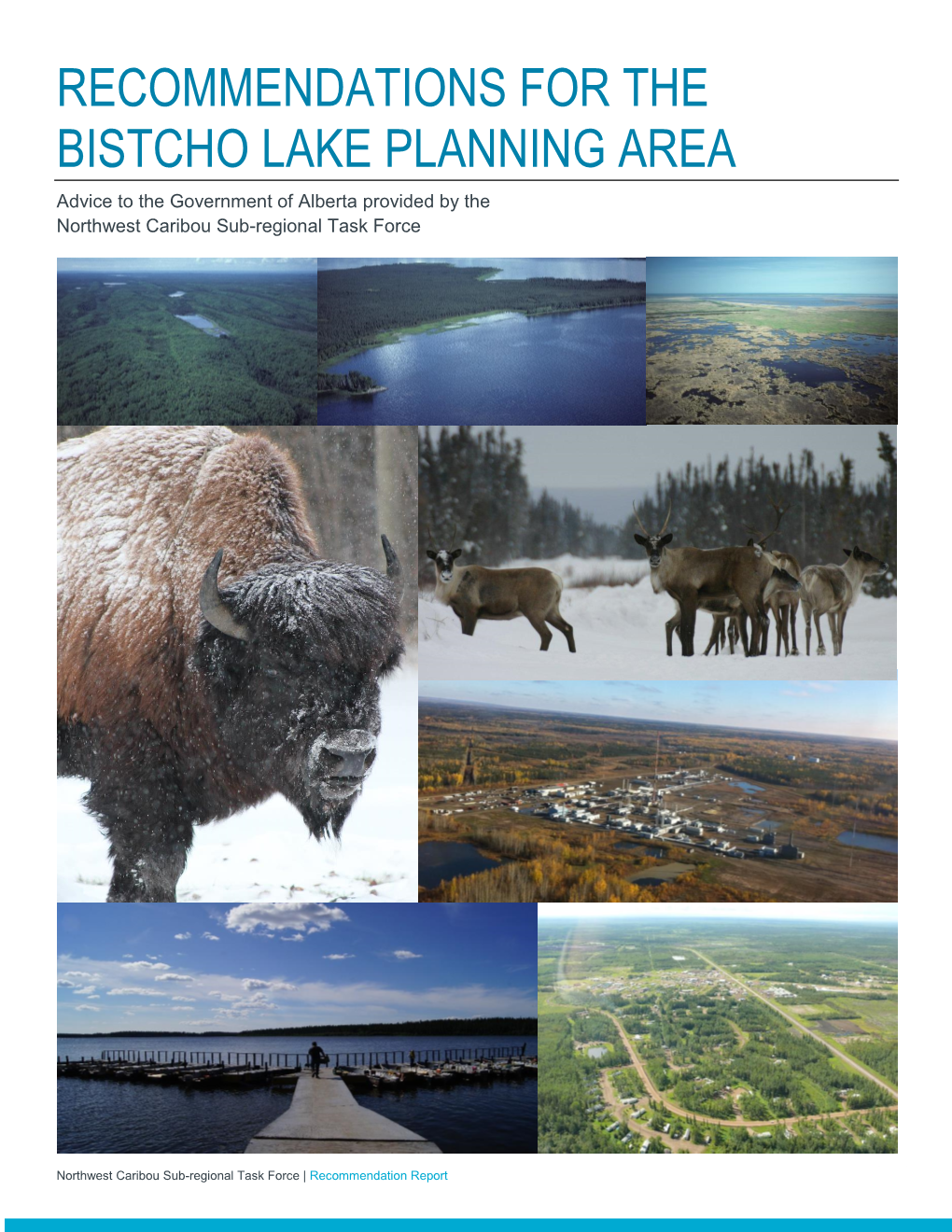 RECOMMENDATIONS for the BISTCHO LAKE PLANNING AREA Advice to the Government of Alberta Provided by the Northwest Caribou Sub-Regional Task Force