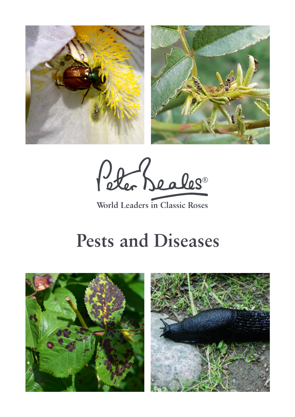 Pests and Diseases Guide