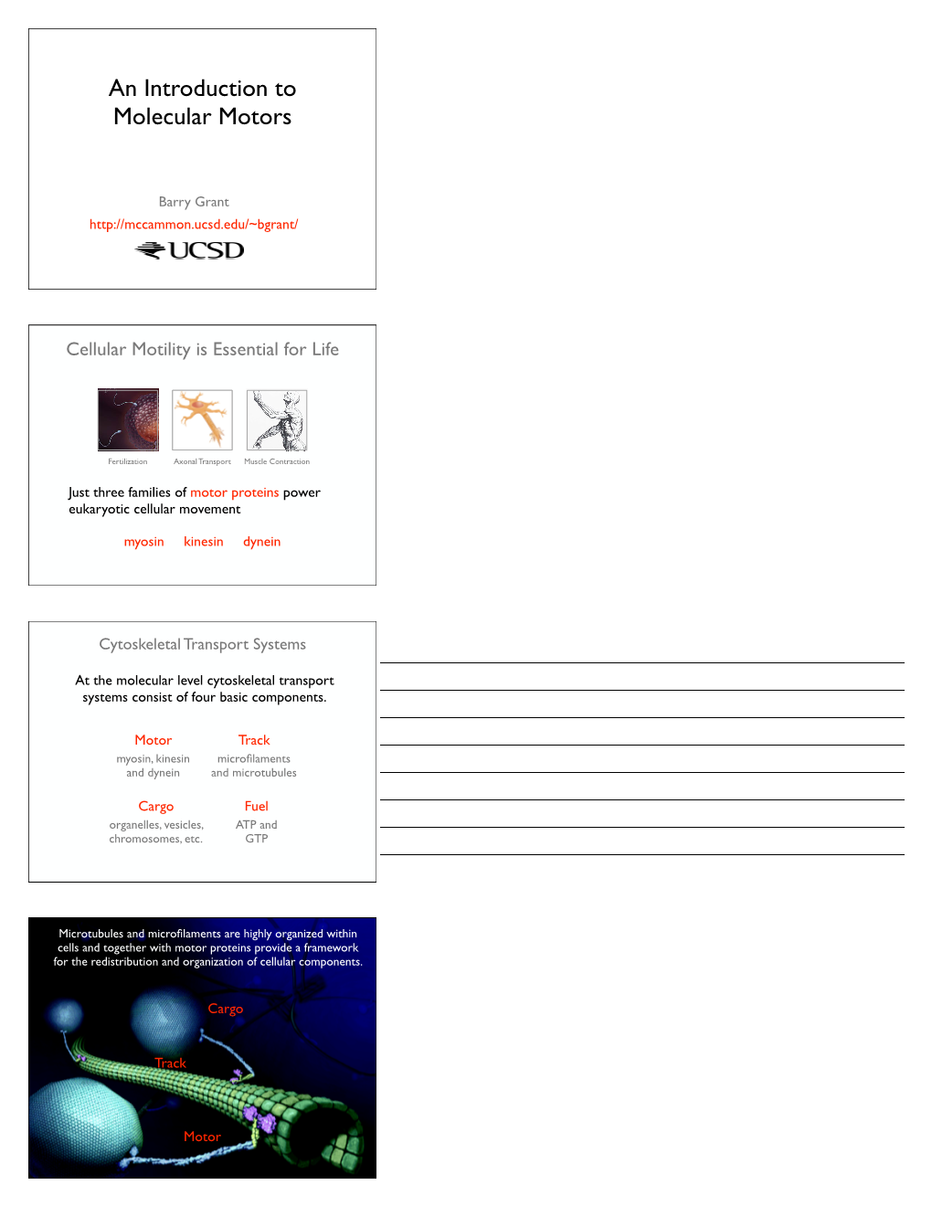 An Introduction to Molecular Motors