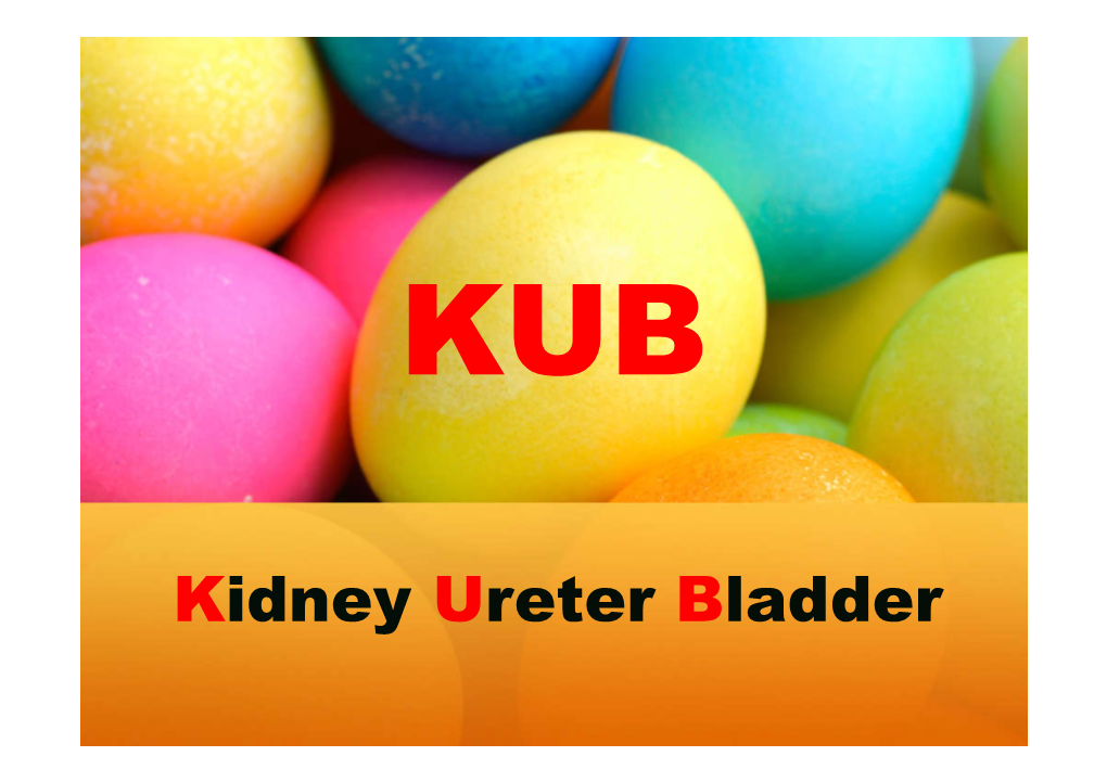 Kidney Ureter Bladder Diagnostic Technique