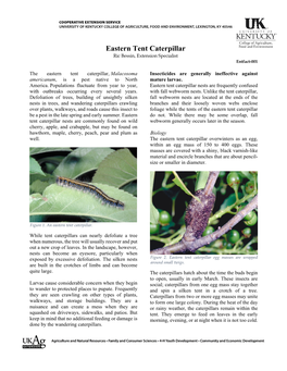 Eastern Tent Caterpillar Ric Bessin, Extension Specialist Entfact-001