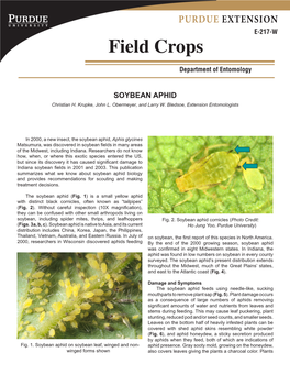 Field Crops Department of Entomology