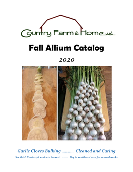 Fall Allium Catalog 2020