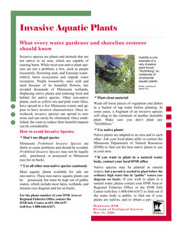 Invasive Aquatic Plants