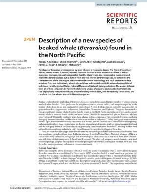 Description of a New Species of Beaked Whale (Berardius) Found in the North Pacific