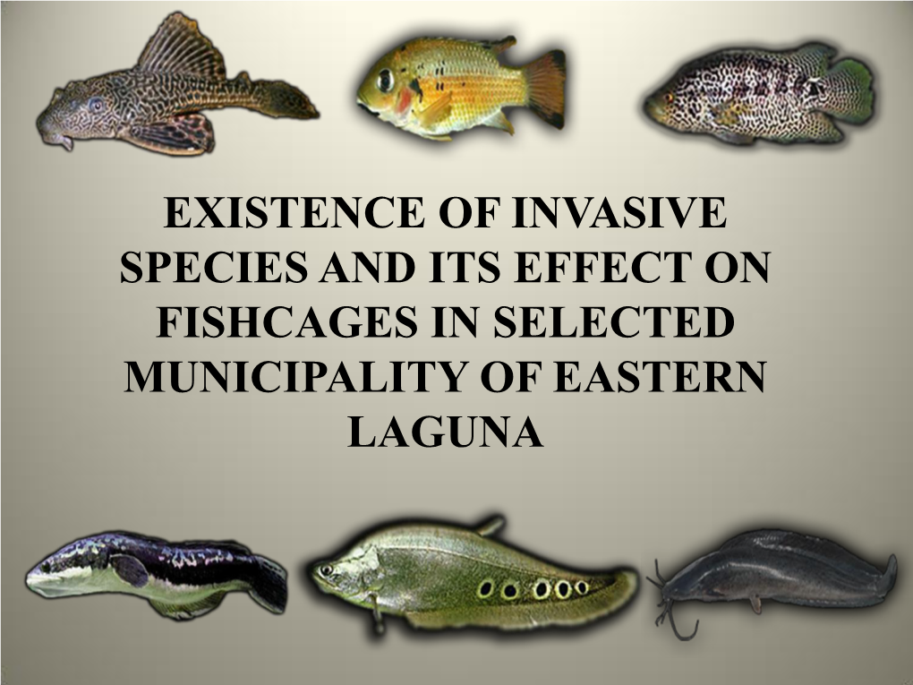 Existence of Invasive Species and Its Effect on Fishcages in Selected Municipality of Eastern Laguna Introduction