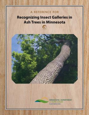 Insect Galleries in Ash Trees in Minnesota J Overview : Contents