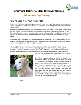 Aging Dog Care
