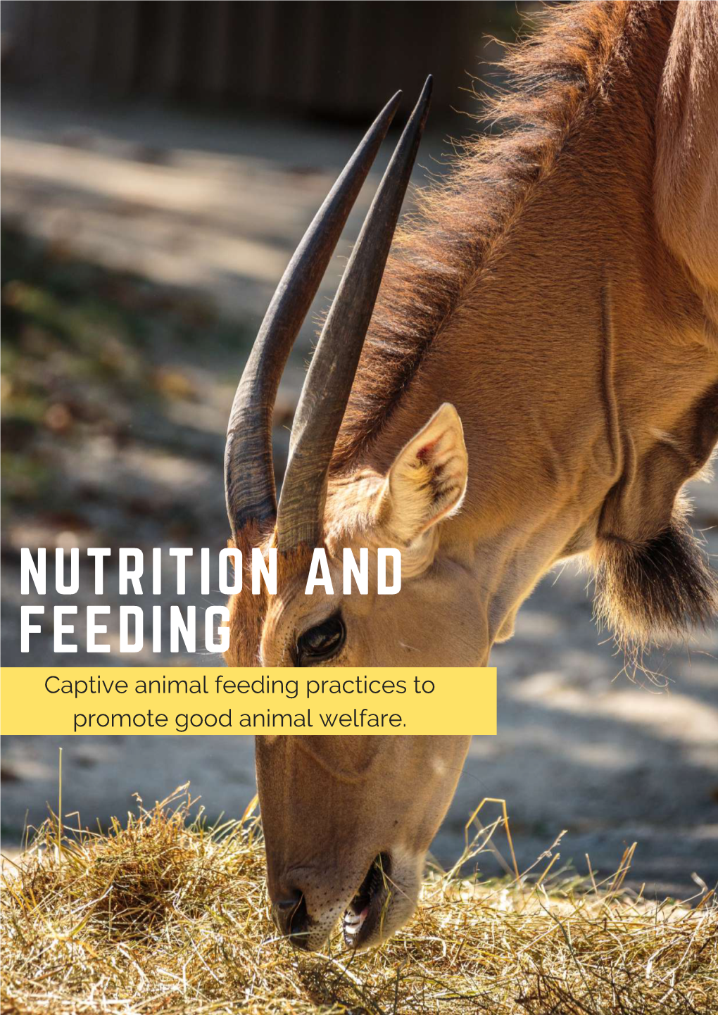 NUTRITION and FEEDING Captive Animal Feeding Practices to Promote Good ...