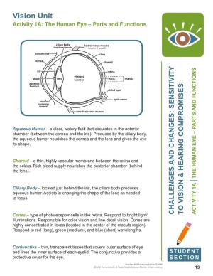 Vision Unit Activity 1A: the Human Eye – Parts and Functions