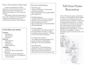 Tall Grass Prairie Restoration Prescribed Fire Fact Sheet