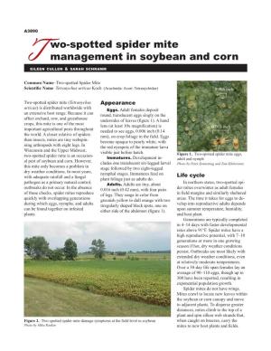 Two-Spotted Spider Mite Management in Soybean and Corn