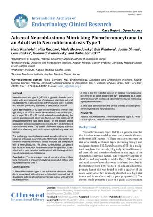 Adrenal Neuroblastoma Mimicking Pheochromocytoma in an Adult With