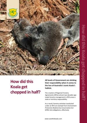 How Did This Koala Get Chopped in Half? (Forestry)