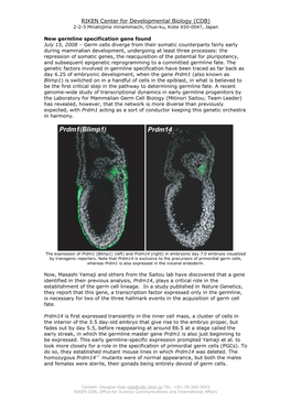 New Germline Specification Gene Found