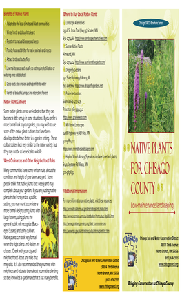 Native Plants for Chisago County