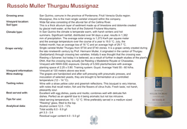 Muller Thurgau Mussignaz English