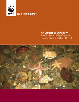 An Ocean of Diversity: the Seabeds of the Canadian Scotian Shelf