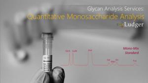 Quantitative Monosaccharide Analysis
