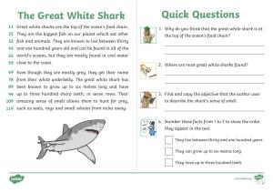 The Great White Shark Quick Questions