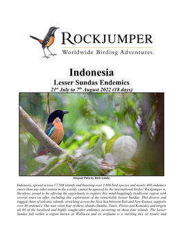 Indonesia Lesser Sundas Endemics 21St July to 7Th August 2022 (18 Days)