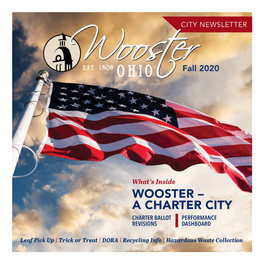 Wooster – a Charter City Charter Ballot Performance Revisions Dashboard