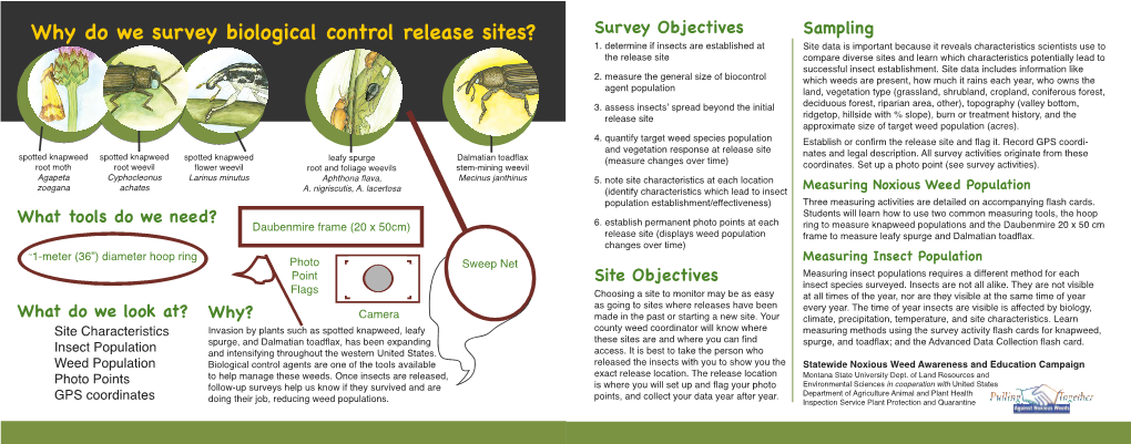 BIO-MONITOR-Flashcards Flash Card