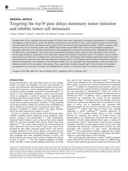 Targeting the Hsp70 Gene Delays Mammary Tumor Initiation and Inhibits Tumor Cell Metastasis