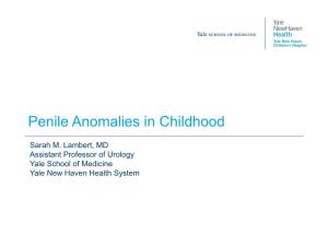 Penile Anomalies in Childhood