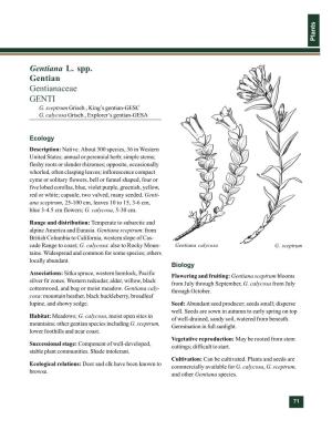 Gentiana L. Spp. Gentian Gentianaceae GENTI