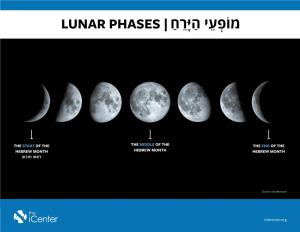 Lunar Phases |