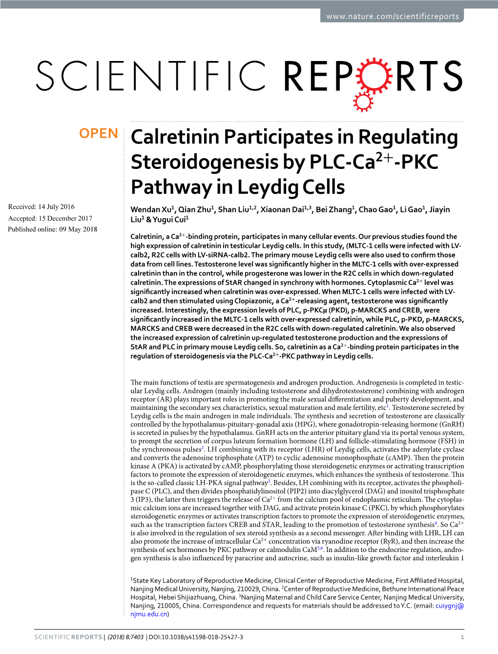 Calretinin Participates in Regulating Steroidogenesis by PLC-Ca2+-PKC