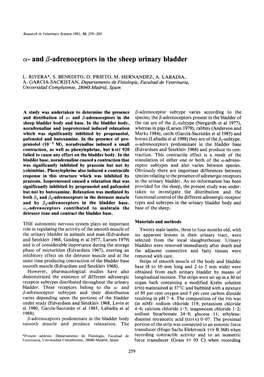 Adrenoreceptors in Sheep Bladder – Relaxation Mechanisms – 1990