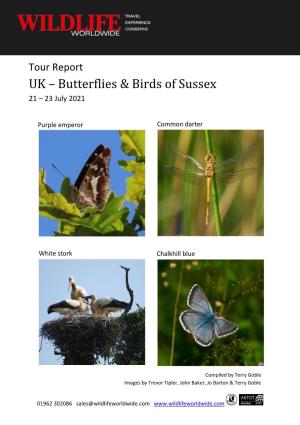 Butterflies & Birds of Sussex