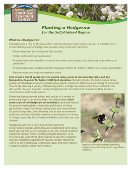 Planting a Hedgerow for the Socal Inland Region