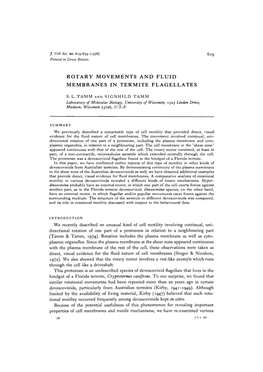 Rotary Movements and Fluid Membranes in Termite Flagellates