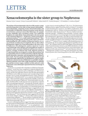 Xenacoelomorpha Is the Sister Group to Nephrozoa