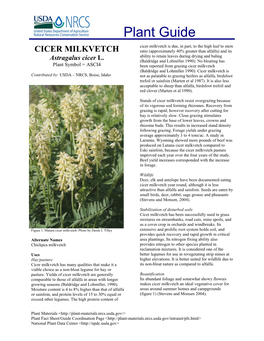 CICER MILKVETCH Plant Guide