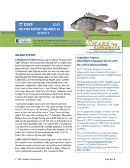 CT DEEP 2017 FISHING REPORT NUMBER 16 Channel Catfish (Ictalurus Punctatus) Blue Crab (Callinectes Sapidus) 8/3/2017 Black Sea Bass (Centropristis Striata)