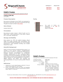 FANCL Protein FANCL Protein