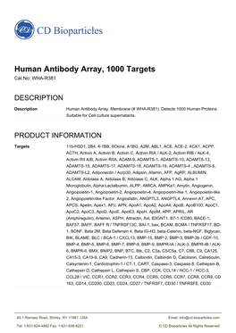 Human Antibody Array, 1000 Targets Cat.No: WHA-R381