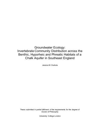 Groundwater Ecology: Invertebrate Community Distribution Across the Benthic, Hyporheic and Phreatic Habitats of a Chalk Aquifer in Southeast England