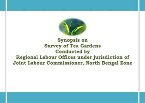 Synopsis on Survey of Tea Gardens Conducted by Regional Labour Offices Under Jurisdiction of Joint Labour Commissioner, North Bengal Zone Contents