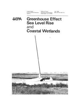 Greenhouse Effect, Sea Level Rise, and Coastal Wetlands. Washington, D.C, U.S