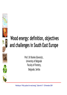 Wood Energy: Definition, Objectives and Challenges in South East Europe