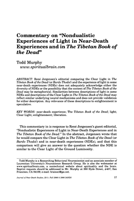 Nondualistic Experiences of Light in Near-Death Experiences and in the Tibetan Book of the Dead"