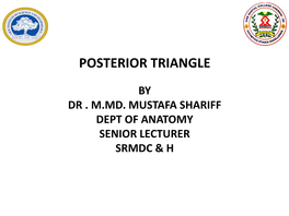 Posterior Triangle