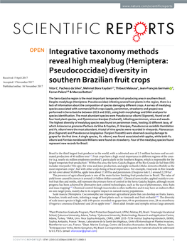 Hemiptera: Pseudococcidae) Diversity in Received: 5 April 2017 Accepted: 1 November 2017 Southern Brazilian Fruit Crops Published: Xx Xx Xxxx Vitor C